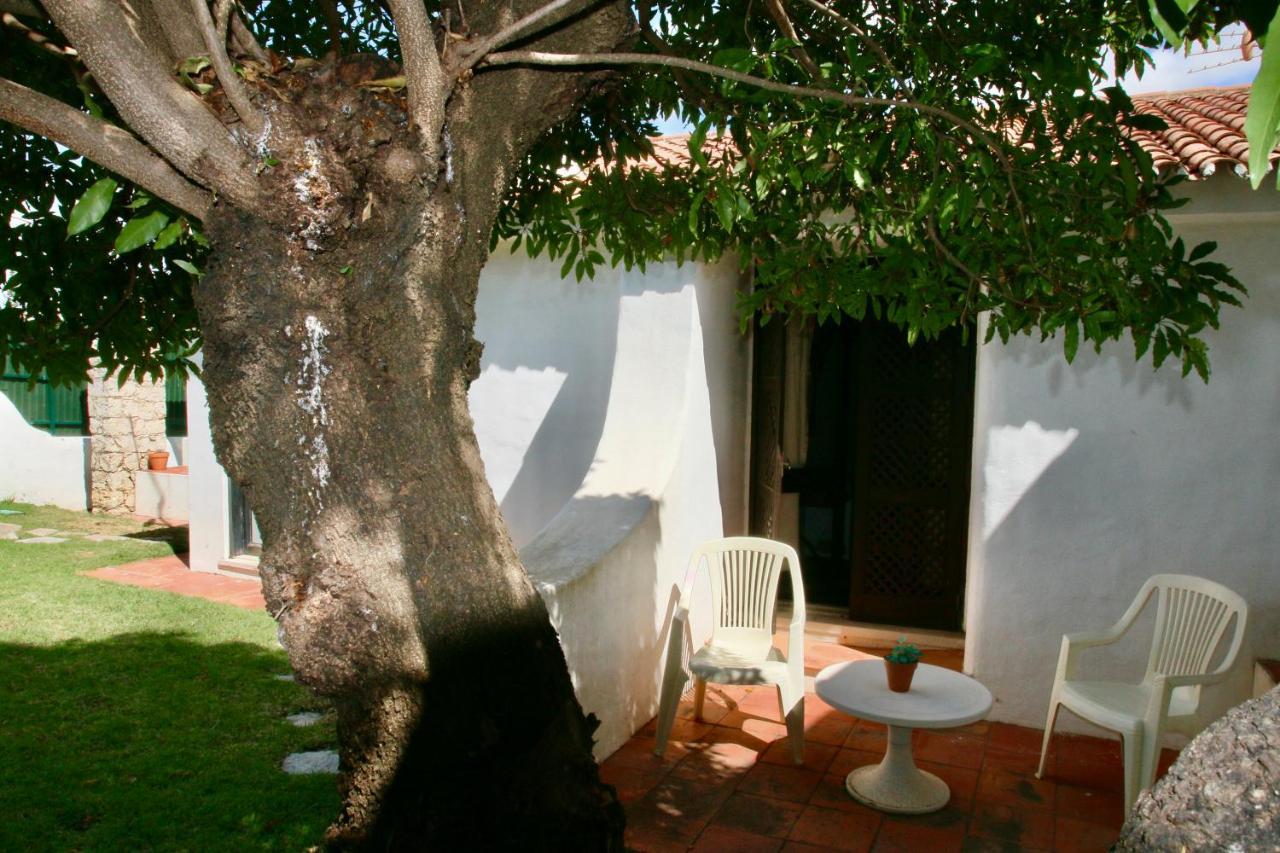 Villa Jacaranda - 550M From The Beach - Free Wifi - By Bedzy Albufeira Exteriér fotografie